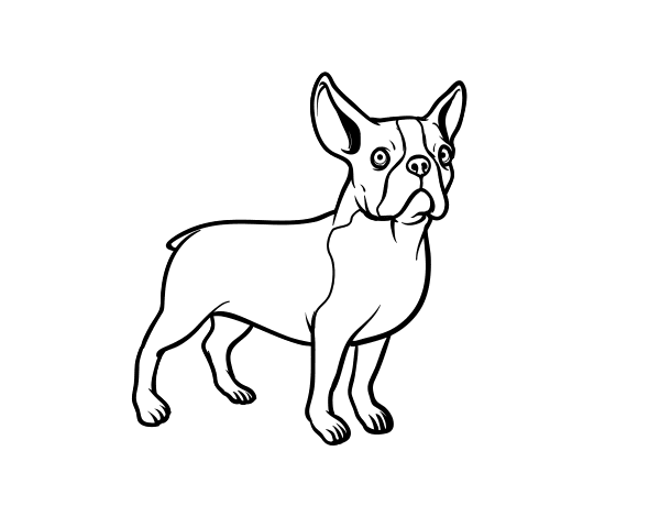 French bulldog dog coloring page