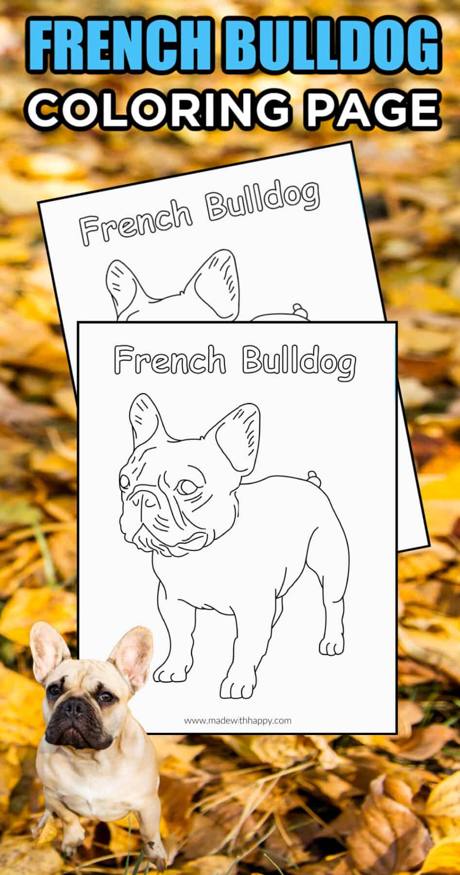 Free printable french bulldog coloring page