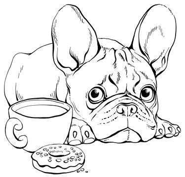 French bulldog outline images â browse photos vectors and video