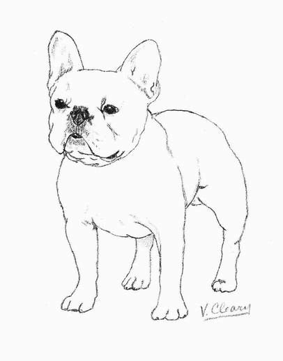 White french bulldog by gingerc on