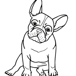 Bulldog coloring pages printable for free download