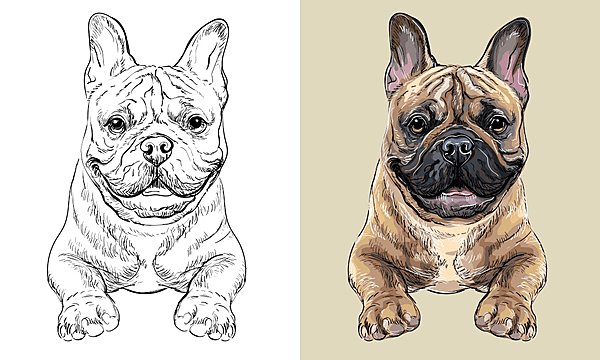 French bulldog dogs vector art png images free download on