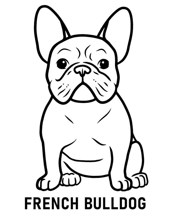 French bulldog coloring page with name