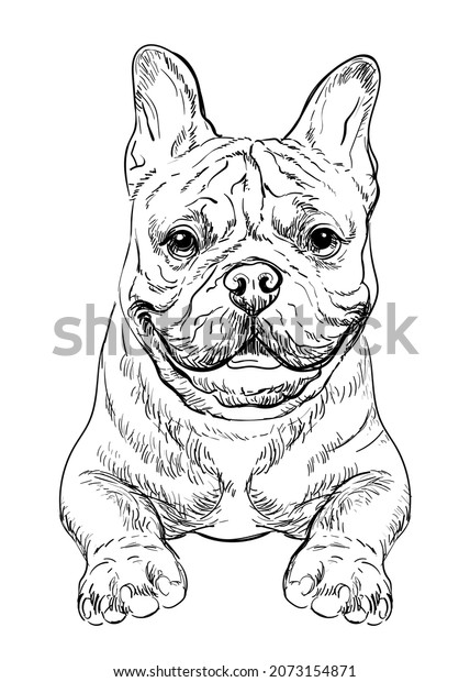 Realistic head french bulldog dog vector stock vector royalty free