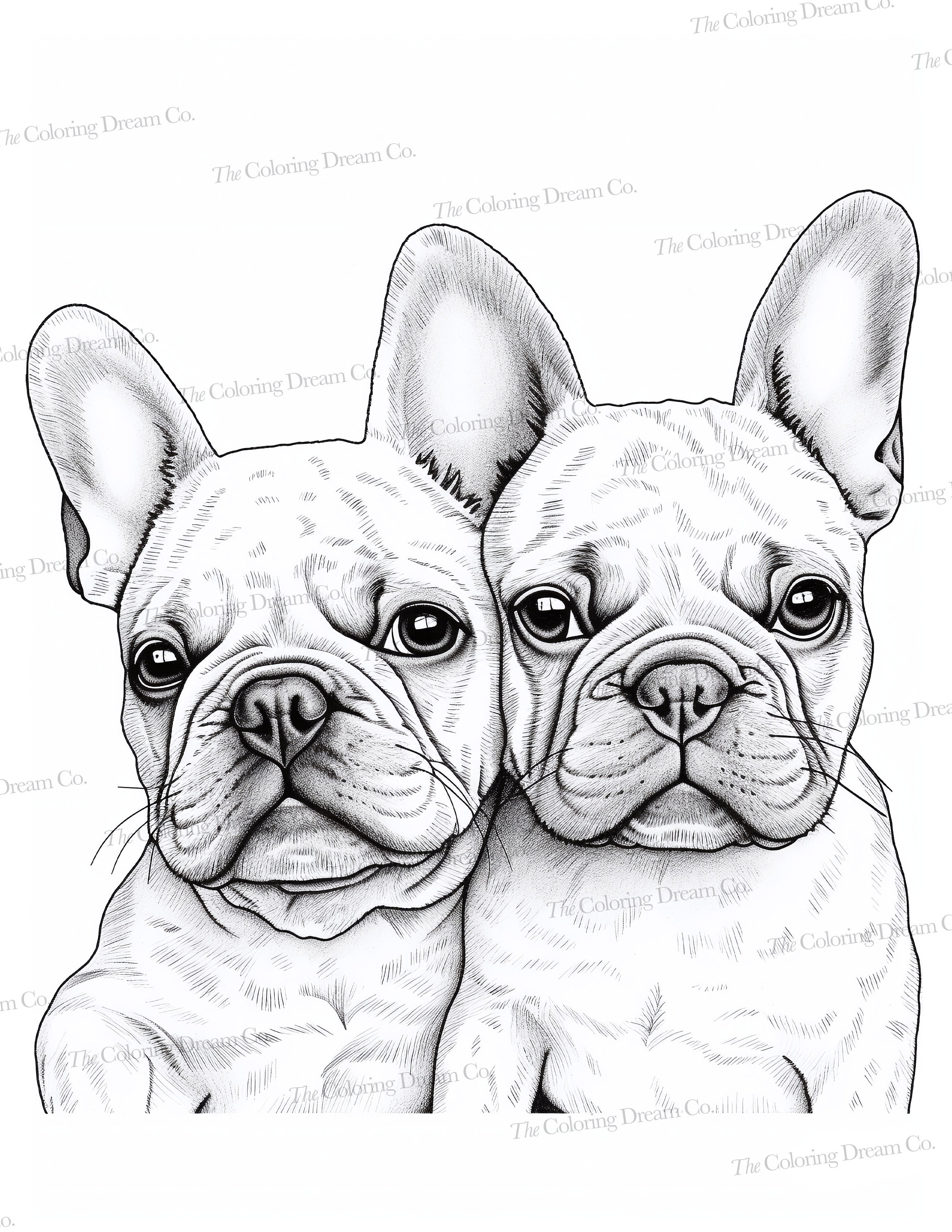 French bulldog coloring book frenchies printable coloring pages printable pdf adults kids coloring pages grayscale instant download download now