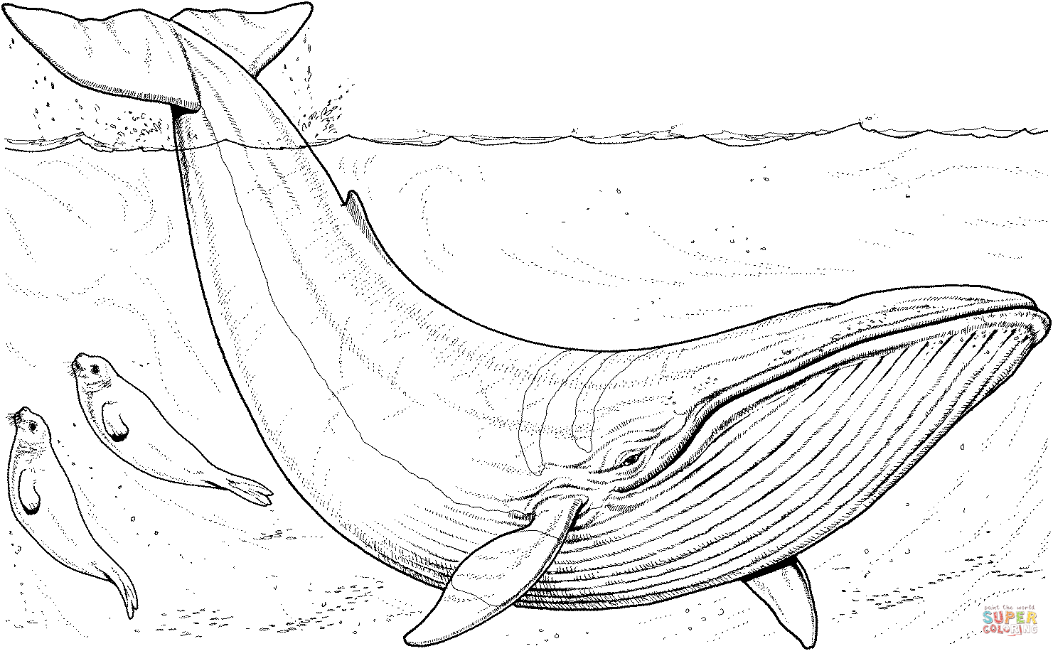 Blue whale baby and seals coloring page free printable coloring pages