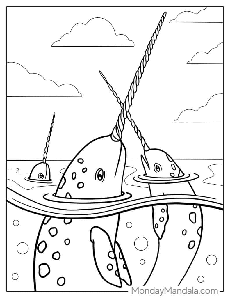 Narwhal coloring pages free pdf printables