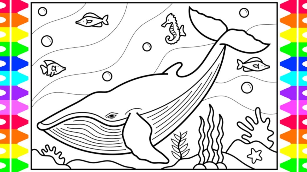 How to draw a whale for kids ððð whale drawing for kids whale coloring page for kids