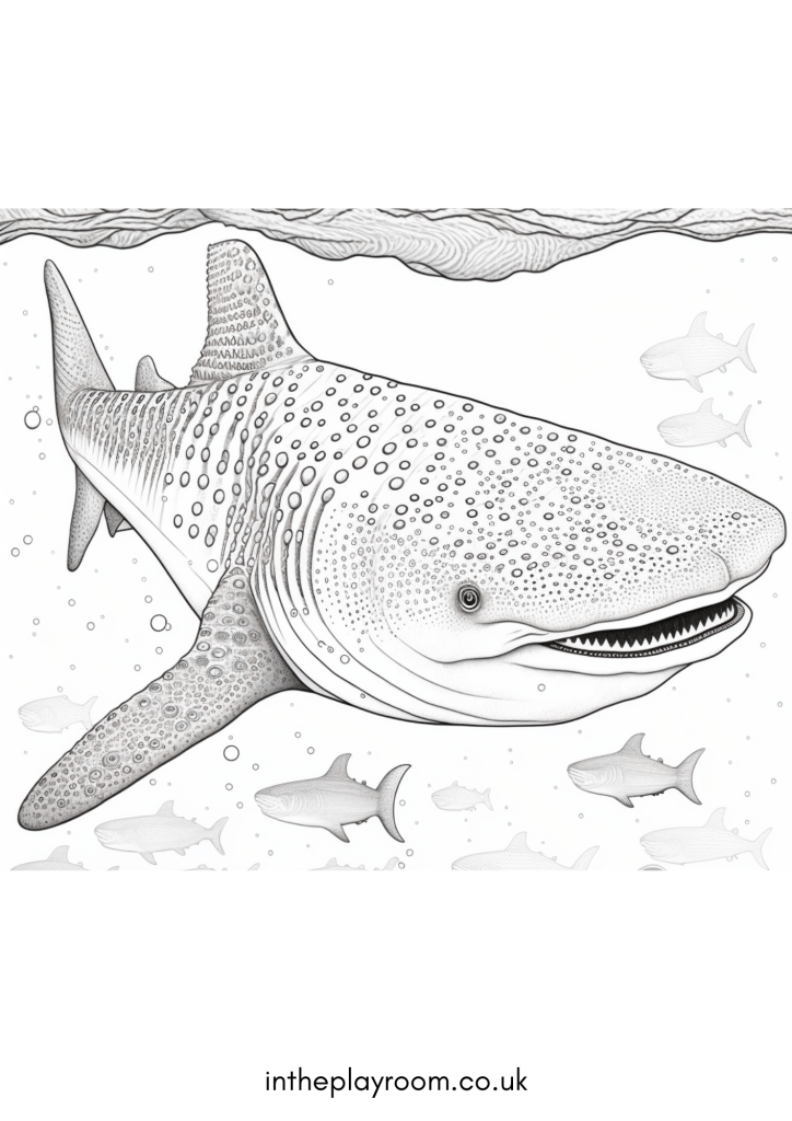 Free printable shark loring pages for kids