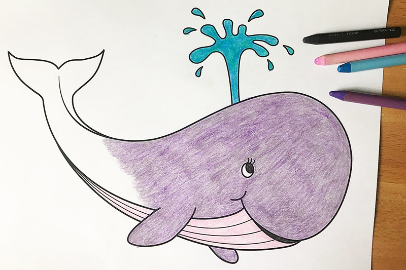 Whale free printable templates coloring pages