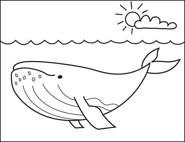 Easy how to draw a whale tutorial and whale coloring page