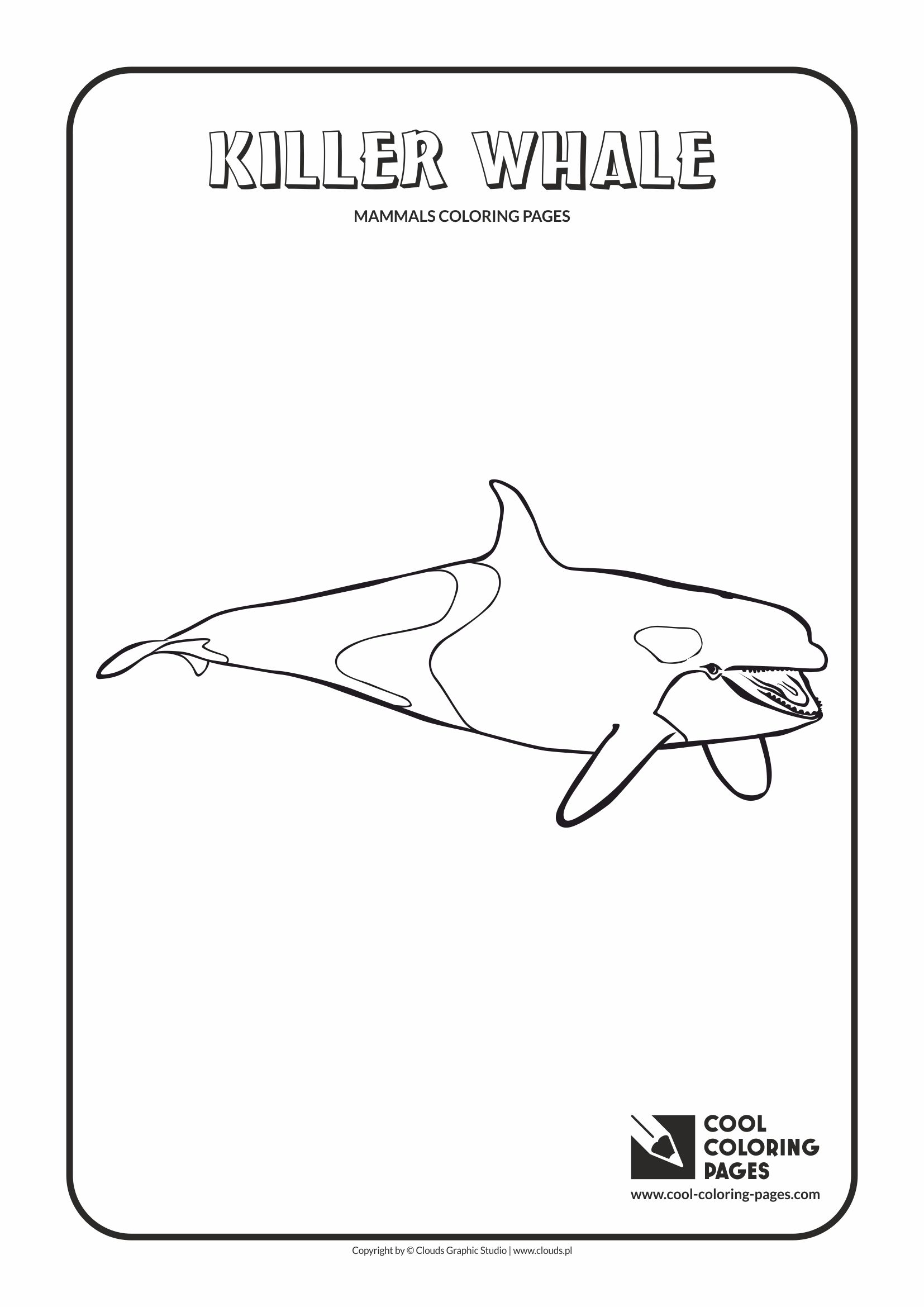 Cool coloring pages killer whale orca coloring page