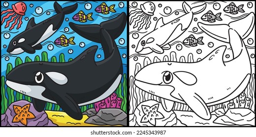 Killer whale coloring photos images and pictures