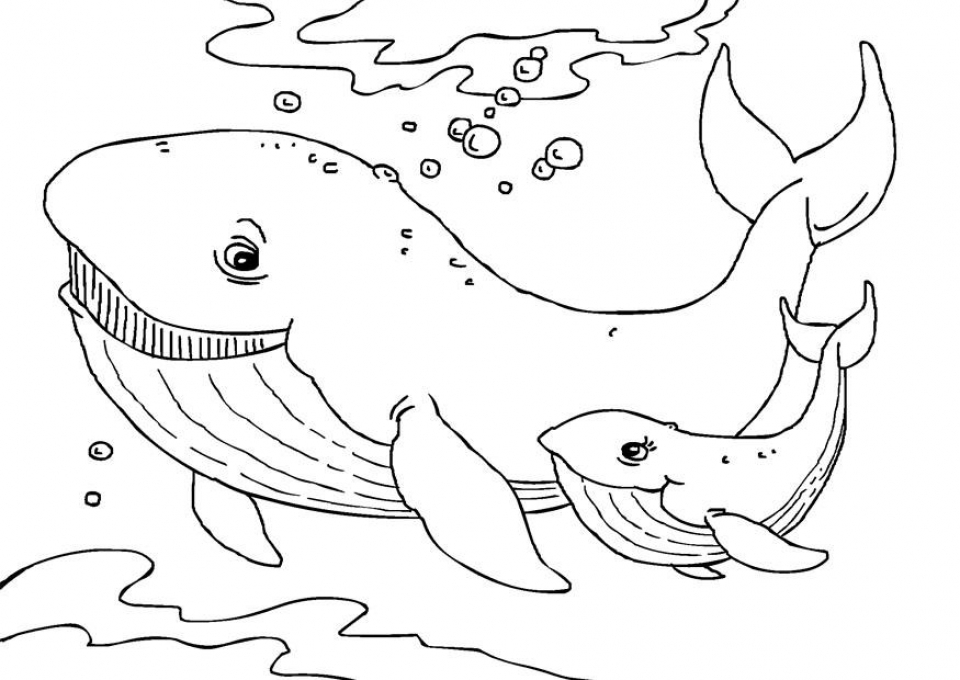Free printable whale coloring pages