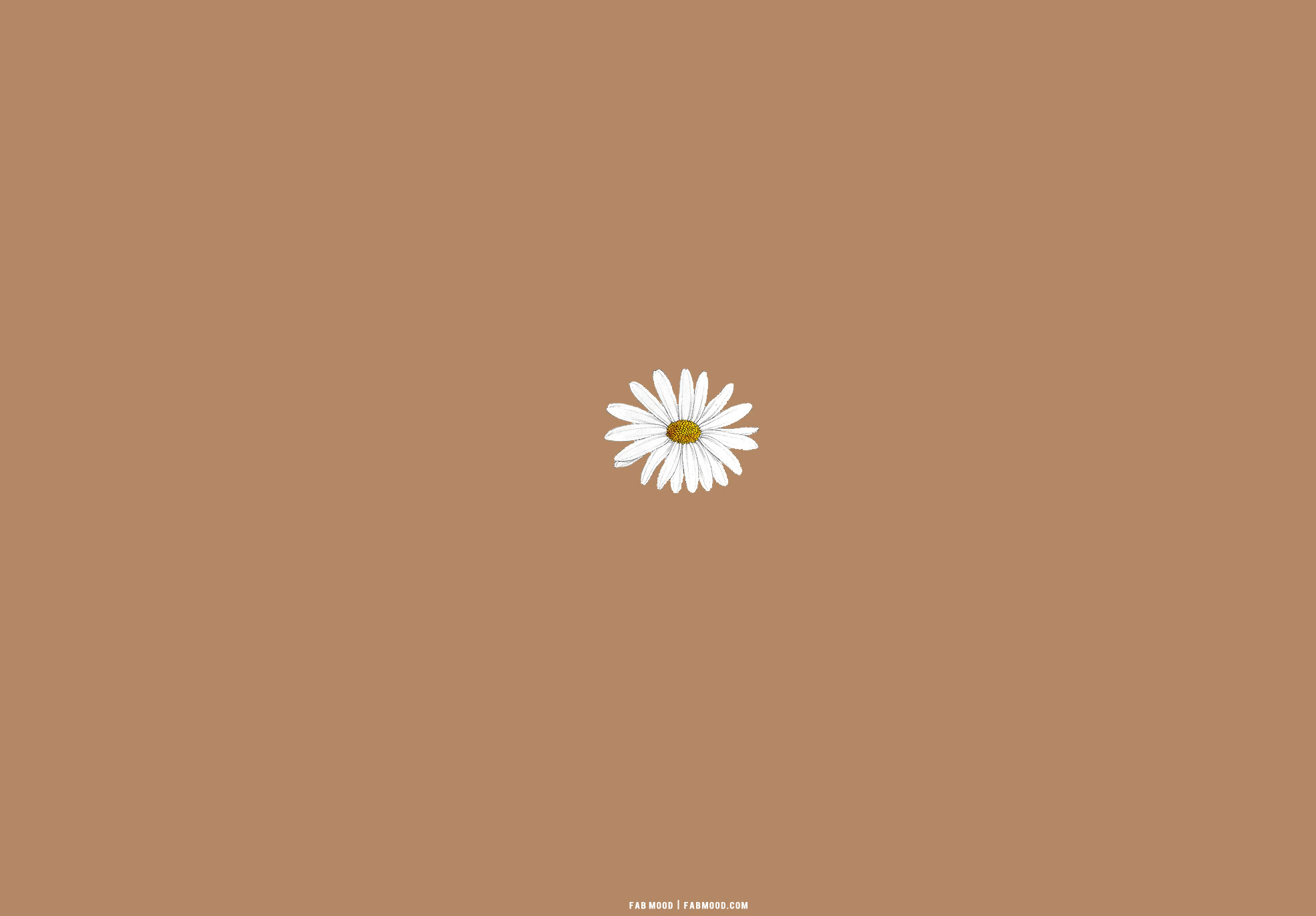 Brown aesthetic wallpaper for laptop daisy