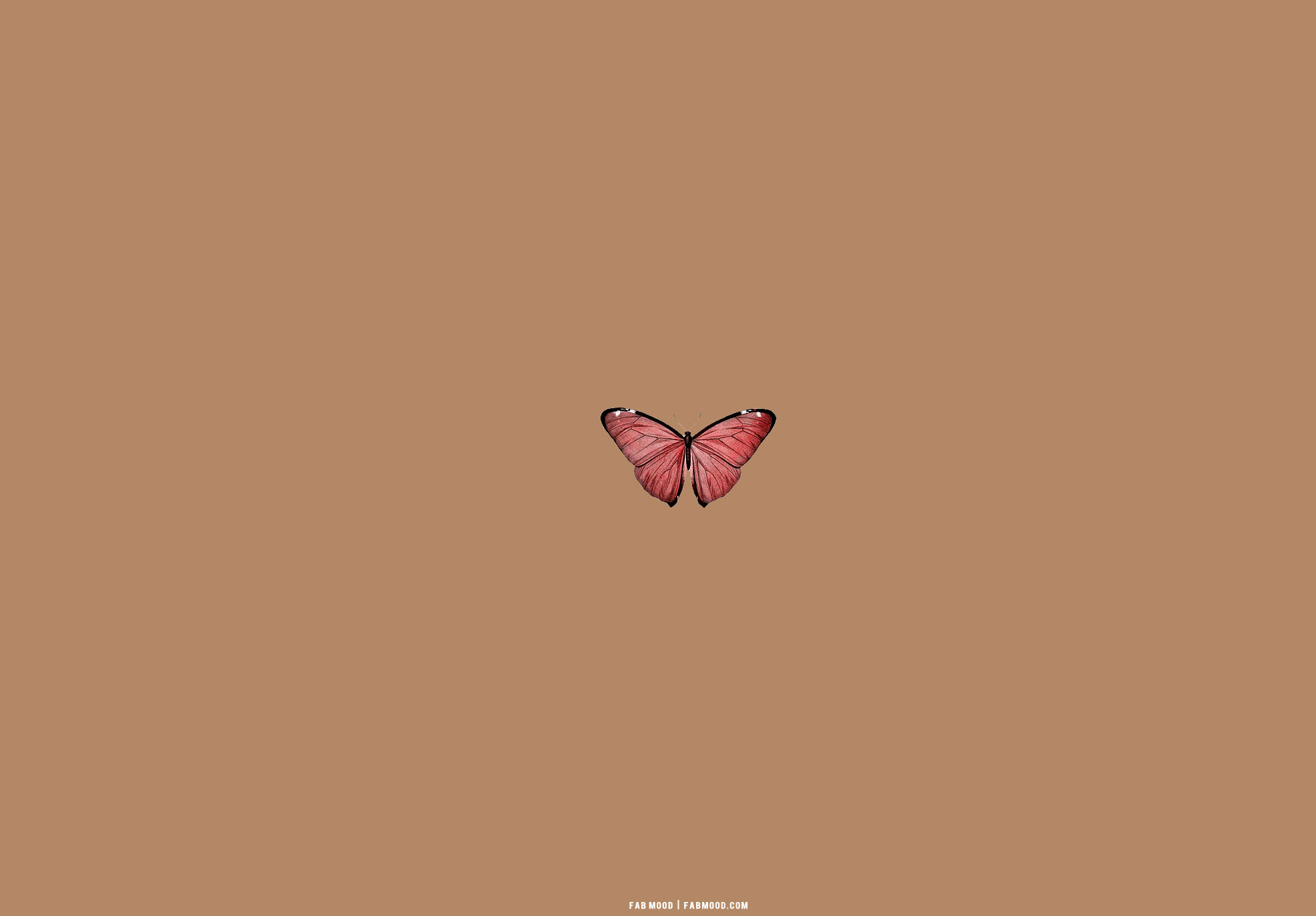 Brown aesthetic wallpaper for laptop red butterfly brown aesthetic