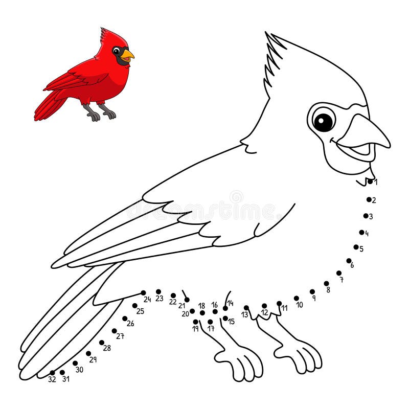 Cardinal coloring stock illustrations â cardinal coloring stock illustrations vectors clipart