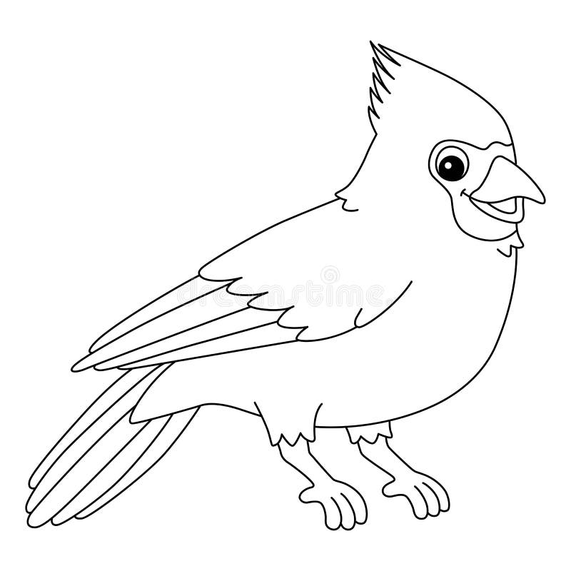 Cardinal coloring page stock illustrations â cardinal coloring page stock illustrations vectors clipart