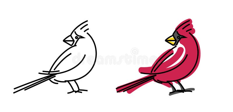 Cardinal coloring page stock illustrations â cardinal coloring page stock illustrations vectors clipart