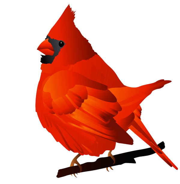 Northern red cardinal bird free clipart design download