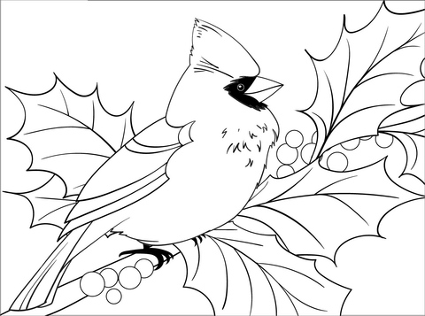 Northern cardinal coloring pages free coloring pages
