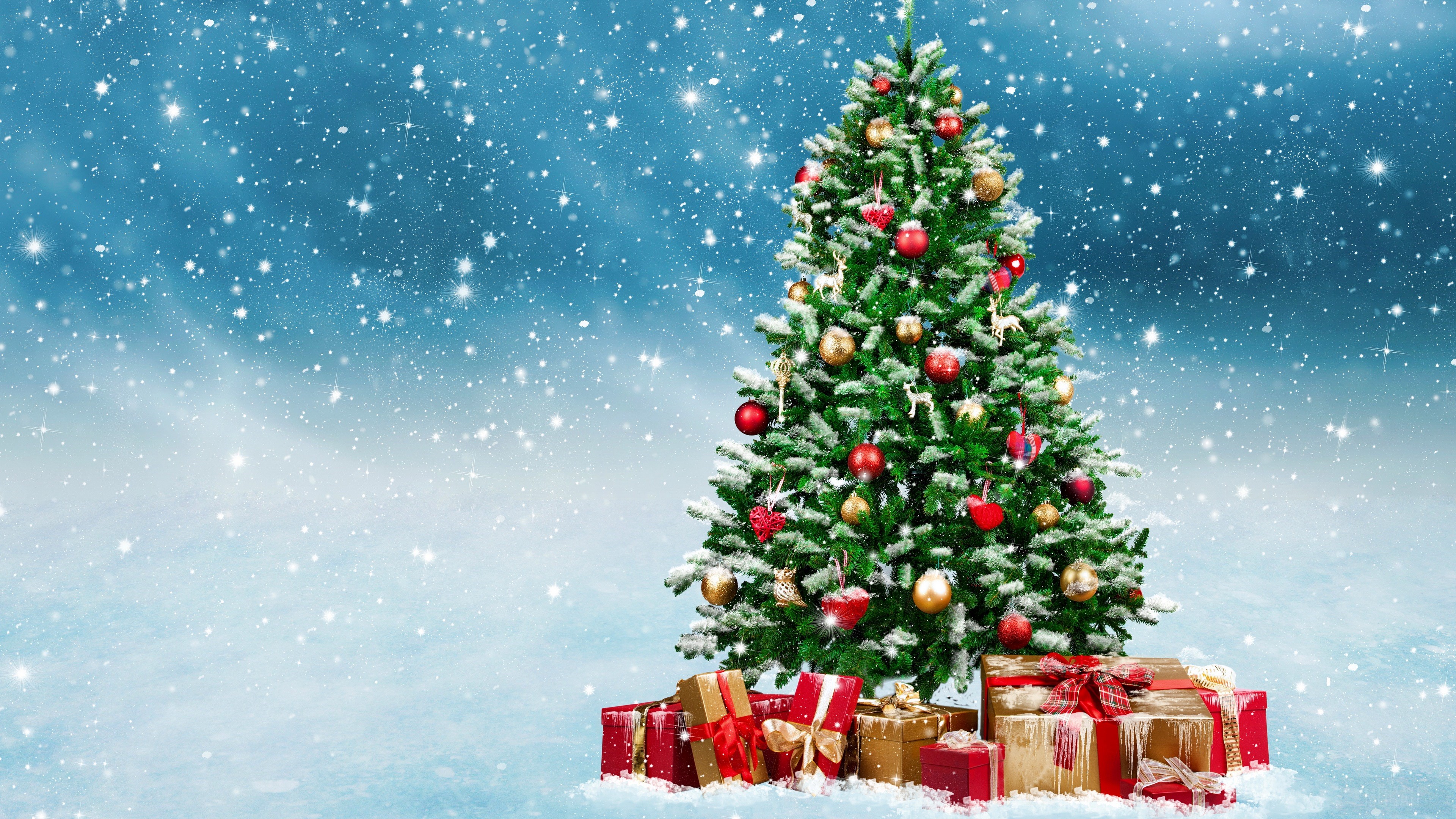 Christmas tree p k k hd wallpapers backgrounds free download rare gallery