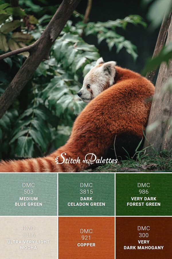 Endangered red panda green colour palette red colour palette copper colour palette