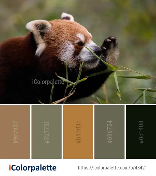 Red panda color palette ideas in