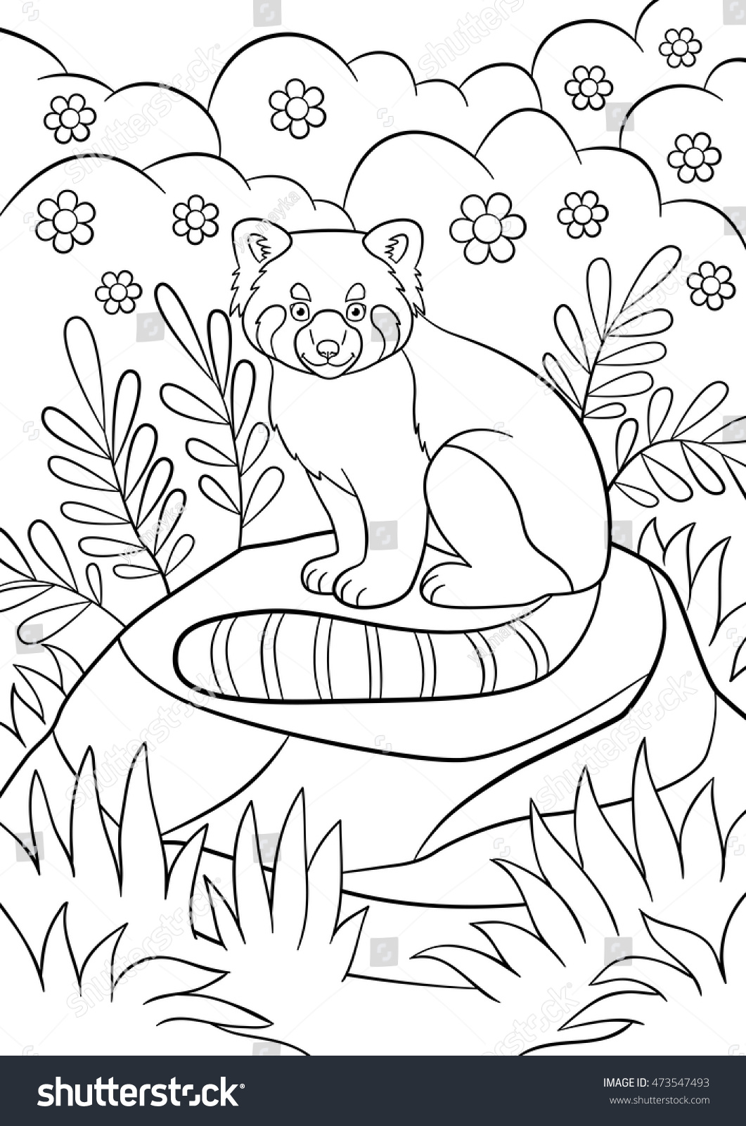 Coloring pages little cute red panda stock vector royalty free