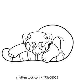 Coloring pages little cute red panda stock vector royalty free