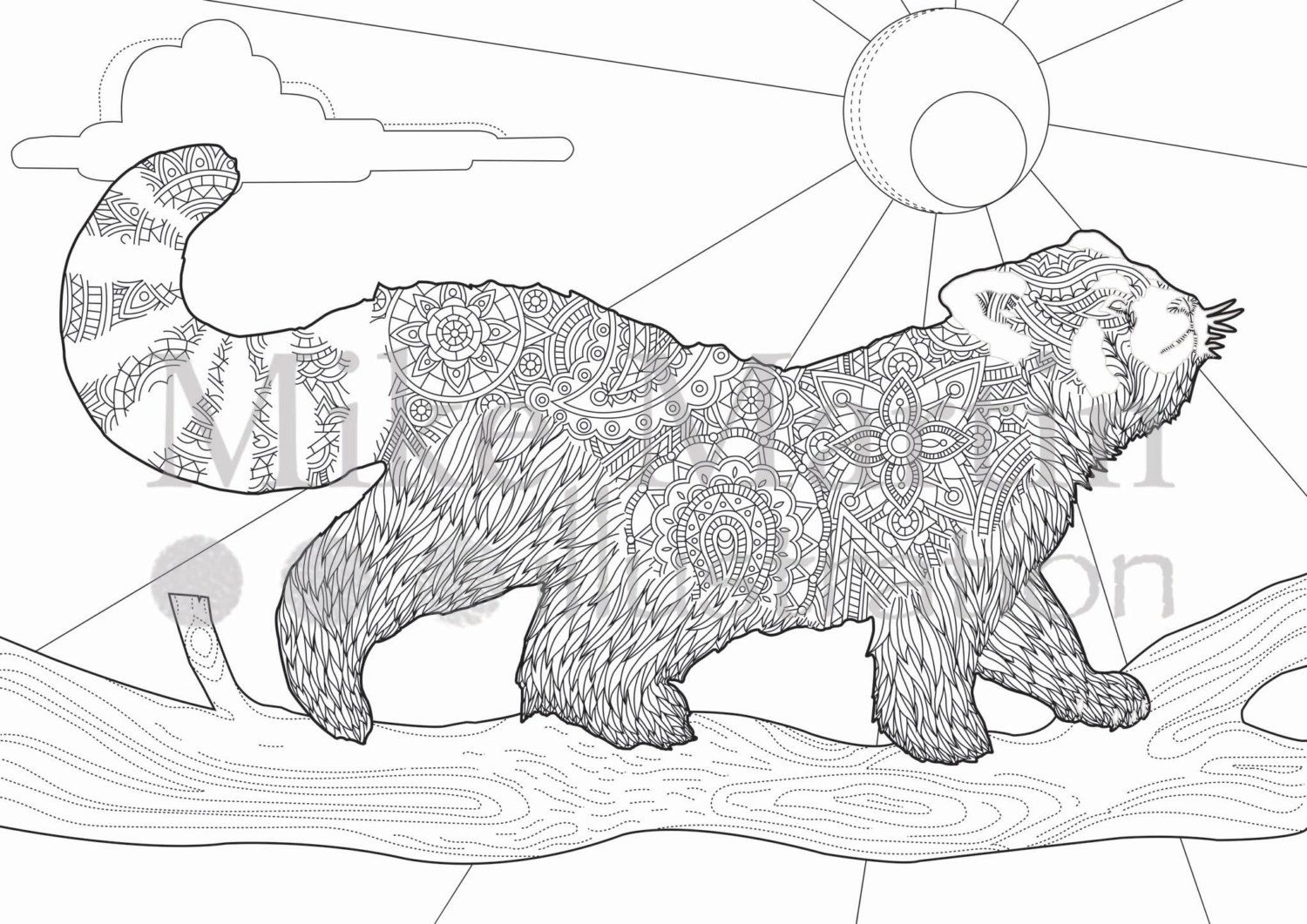 Printable red panda coloring page instant download adult coloring page