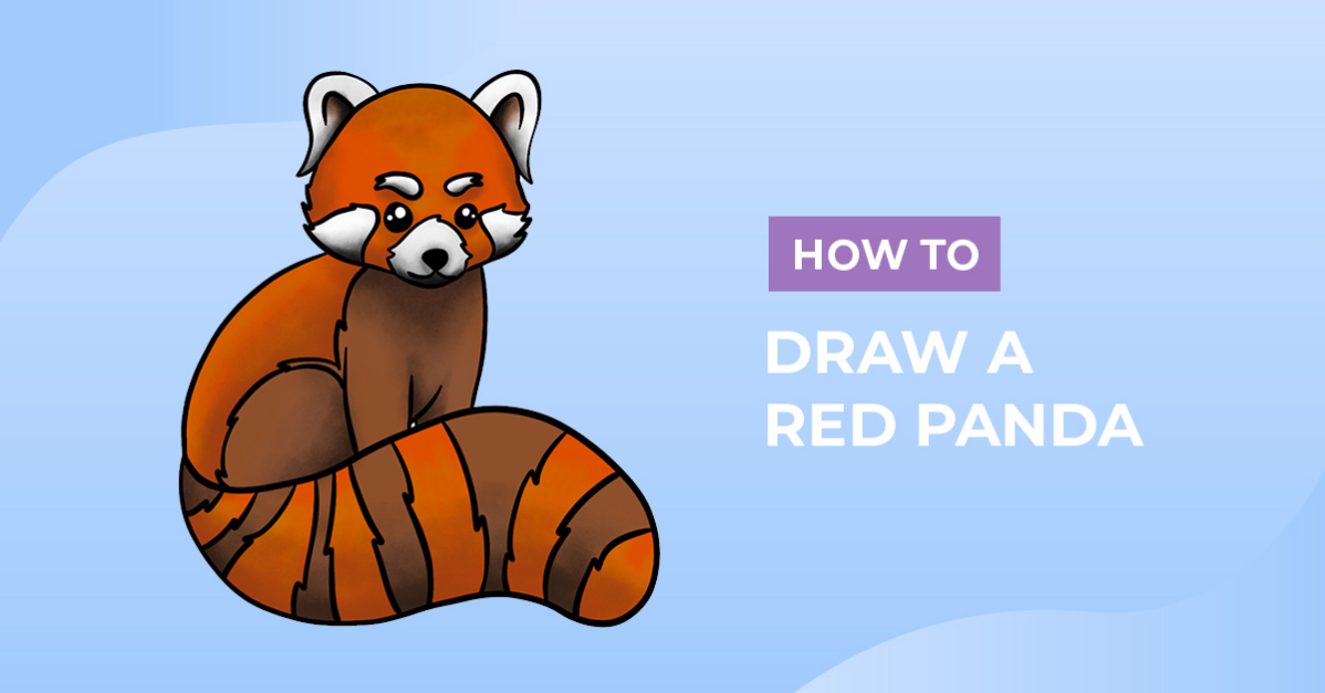 How to draw a red panda design school