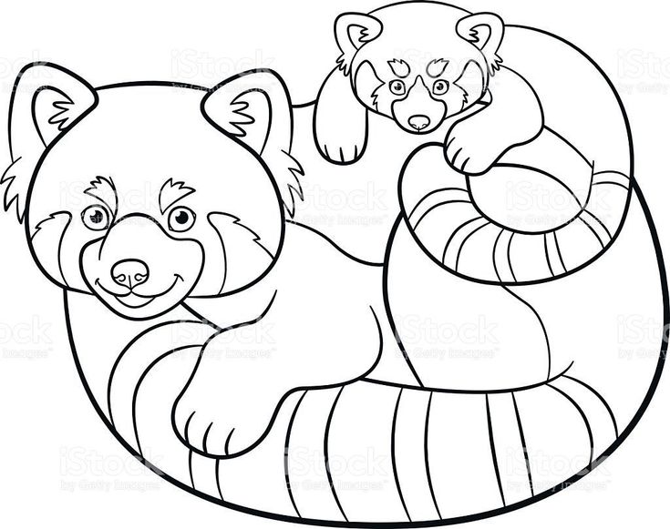 Red panda coloring page panda coloring pages puppy coloring pages red panda