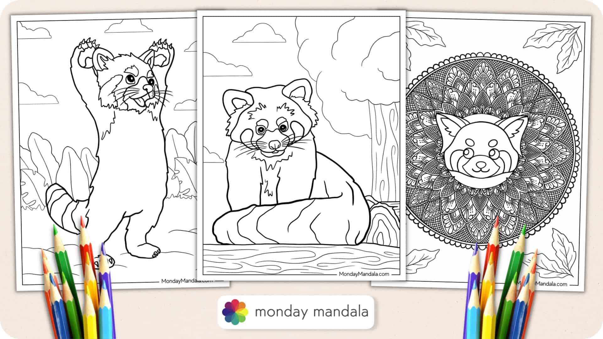 Red panda coloring pages free pdf printables