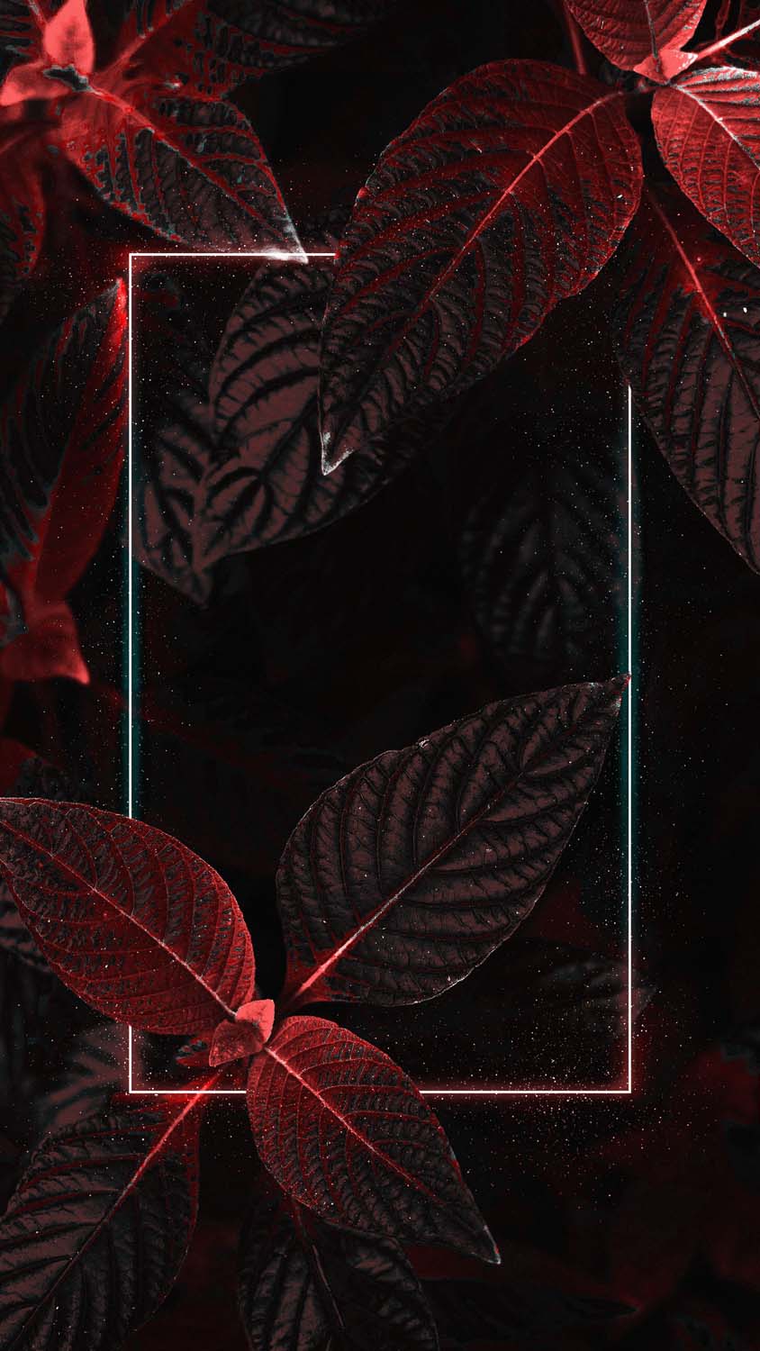 Dark and red foliage iphone wallpaper hd