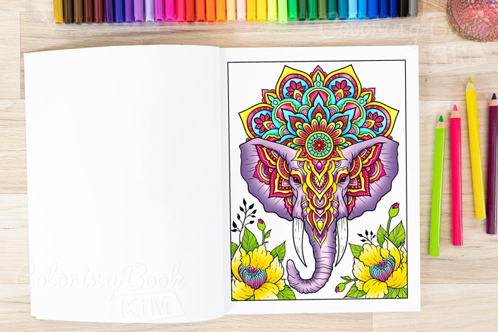 Relaxing mandala patterns adult coloring book