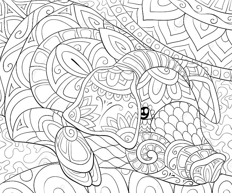Relaxing coloring page featuring a charming pig adorned with decorative elements in an adult coloring book vector tangle poster cute png and vector with transparent background for free download