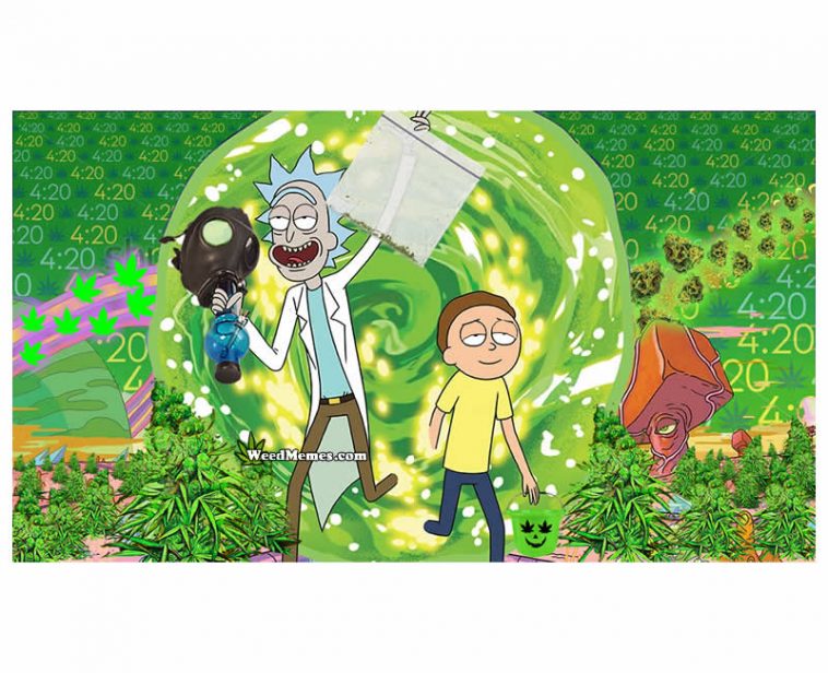 Download Free 100 + rick and morty weed wallpaper