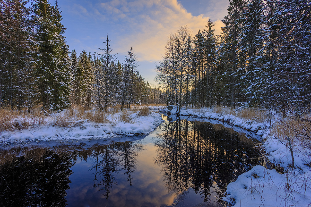 Desktop wallpapers arvika winter spruce nature snow forests river