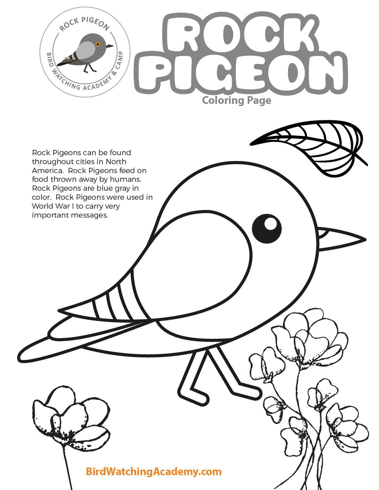 Rock pigeon coloring page
