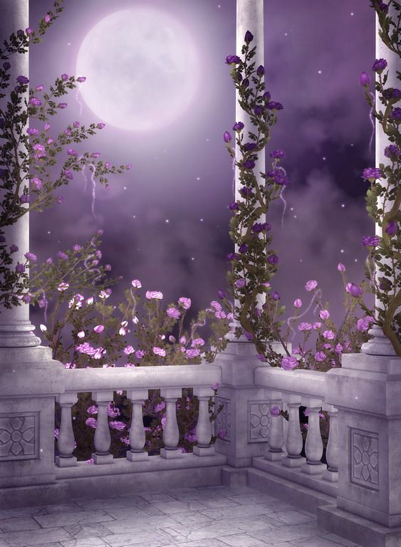 Beautiful gothic romantic background romantic background studio background photo backgrounds