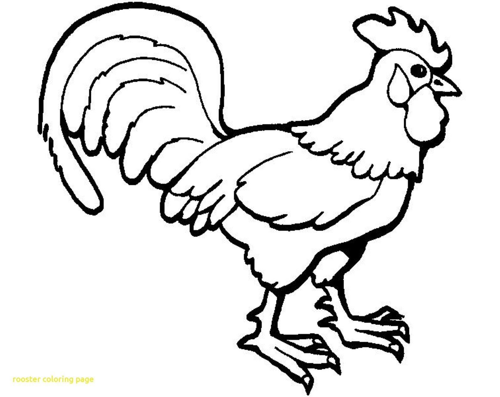 Brilliant photo of rooster coloring page
