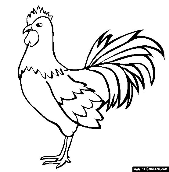 Rooster coloring page free rooster online coloring farm animal coloring pages animal coloring pages bird coloring pages