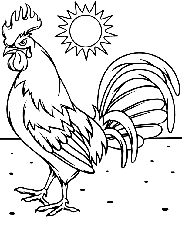 Print rooster coloring page sheet