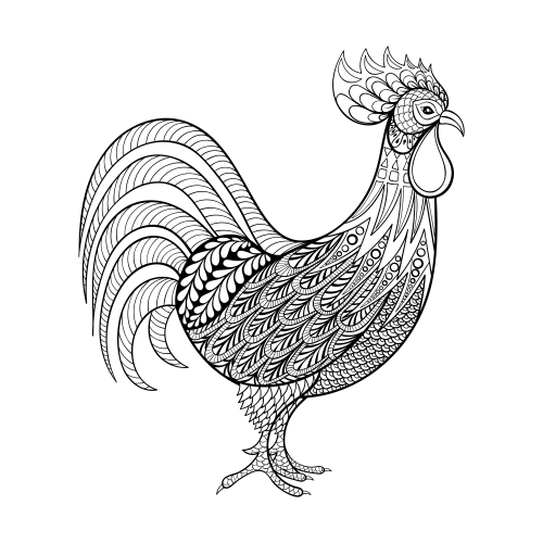 Advanced rooster coloring page