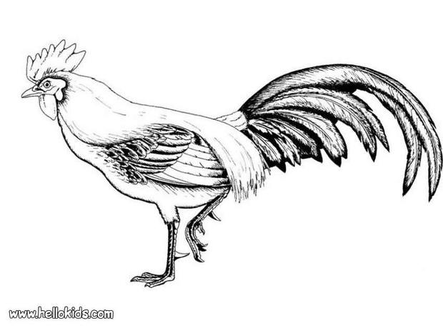 Rooster cubalaya coloring pages