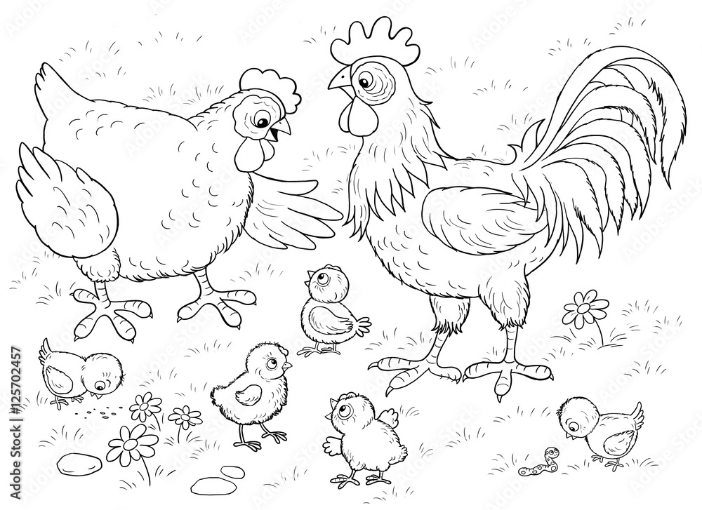 At the farm cute hen rooster and their chicks illustration for children coloring book coloring pages funny cartoon characters illustration