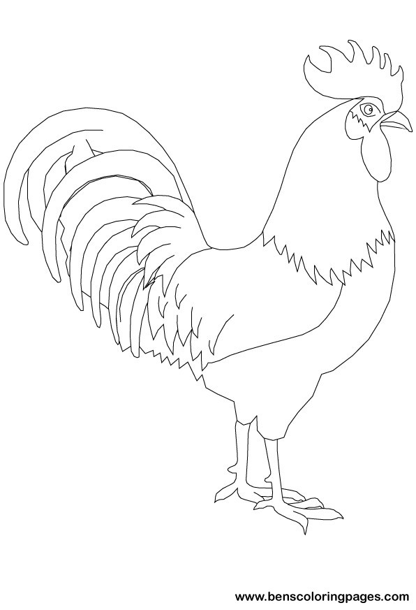 Coloring rooster