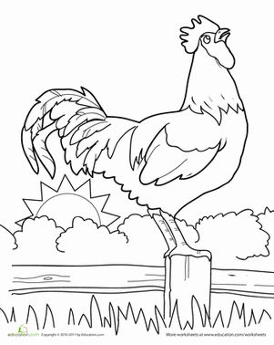 Rooster coloring page coloring book pages coloring pages coloring books