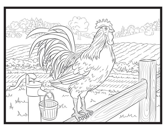 Rooster single coloring page instant download